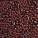Burgundy Black
